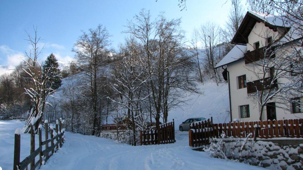 La Craita Villa Bran  Exterior foto